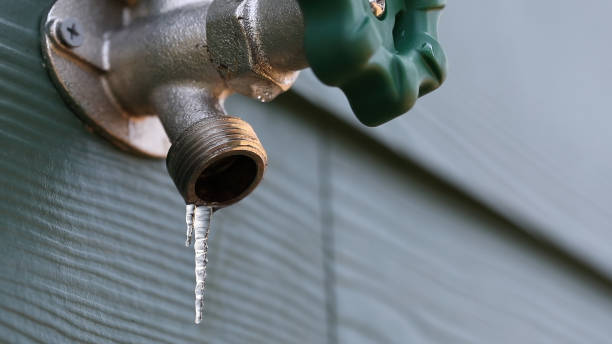 Best Plumbing Services Near Me  in Callahan, FL
